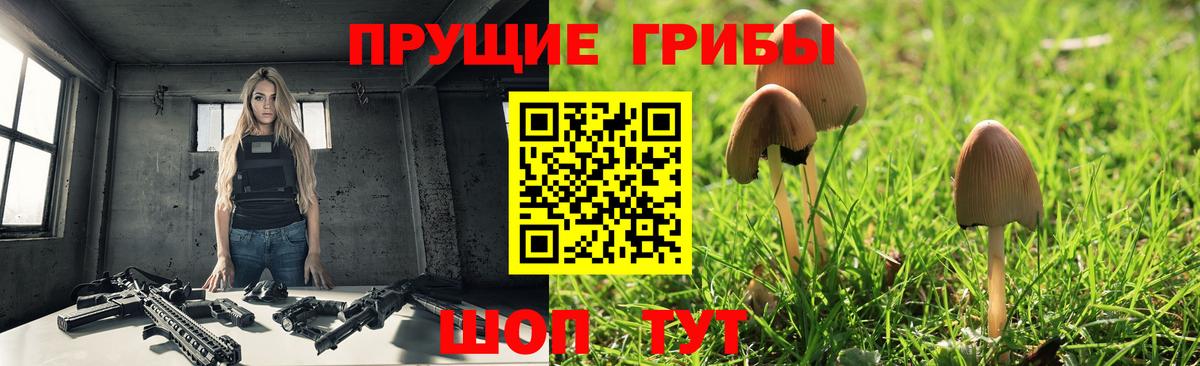 Псилоцибиновые грибы Psilocybe Белгород