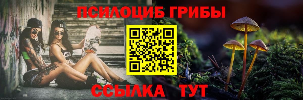 Галлюциногенные грибы Psilocybine cubensis  цены наркотик  Вход с VPN  Белгород  Галлюциногенные грибы Magic Shrooms 